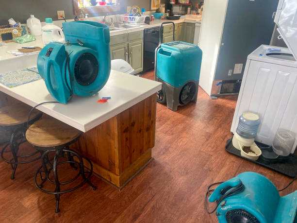 Best 24-hour water damage restoration  in El Verano, CA