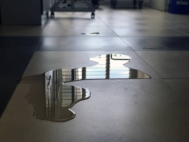 Best Flood restoration services  in El Verano, CA