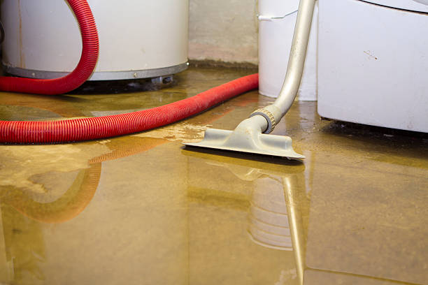 Best Water damage contractors near me  in El Verano, CA