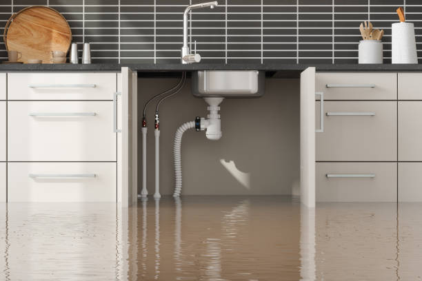 Best Sewage cleanup and water damage restoration  in El Verano, CA