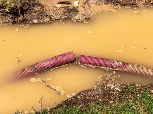 Best Flood restoration services  in El Verano, CA